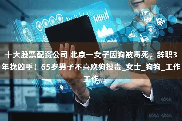 十大股票配资公司 北京一女子因狗被毒死，辞职3年找凶手！65岁男子不喜欢狗投毒_女士_狗狗_工作